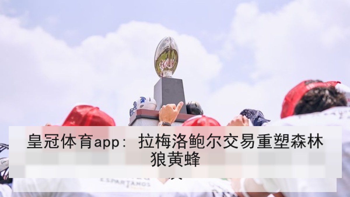 皇冠体育app: 拉梅洛鲍尔交易重塑森林狼黄蜂 皇冠体育app: 拉梅洛鲍尔交易重塑森林狼黄蜂
